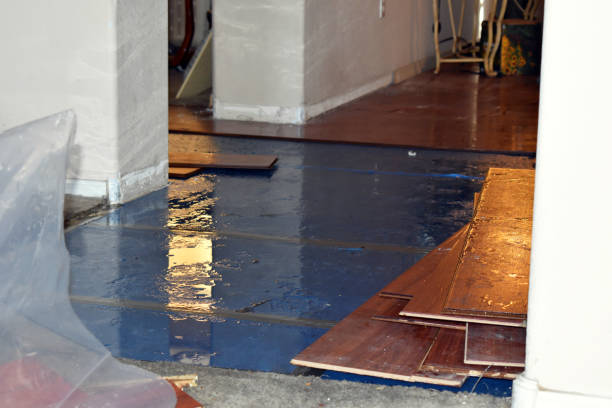 Professional Basement Water Removal technician working in Saratoga Springs, UT